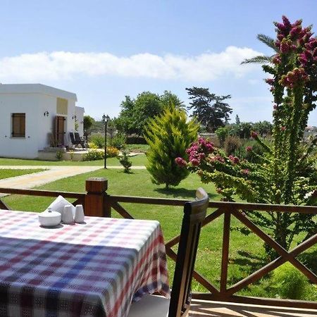 Villa Lembos Hotel Karpaz Rizokarpaso Zewnętrze zdjęcie